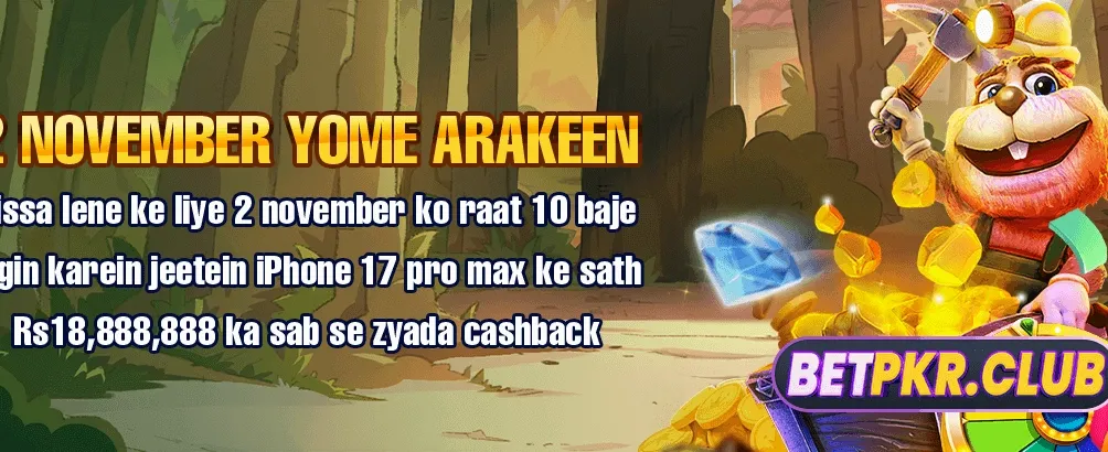 pkw666.net پر آسان لاگ ان